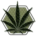 Mr. Cbd Chicago